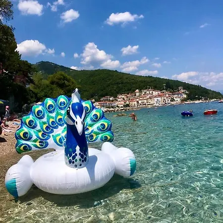 Riva アパート *